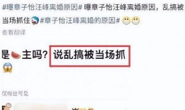 刘大锤爆料最新爆料