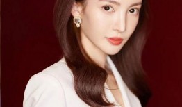 邢菲最新爆料消息视频大全,揭秘幕后故事与精彩瞬间