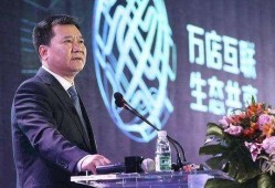 苏宁董事长爆料视频最新,揭秘电商行业惊人内幕